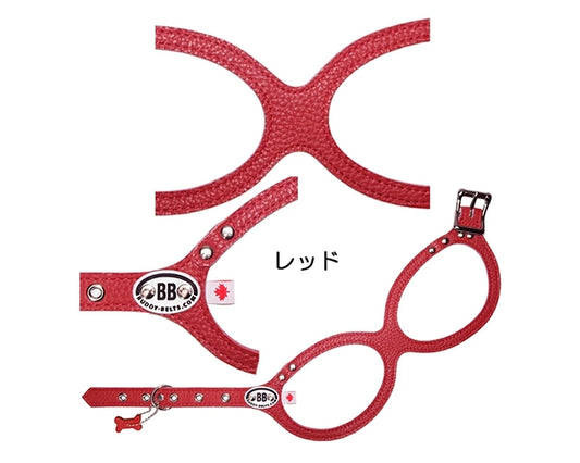 バディーベルト（レッド）