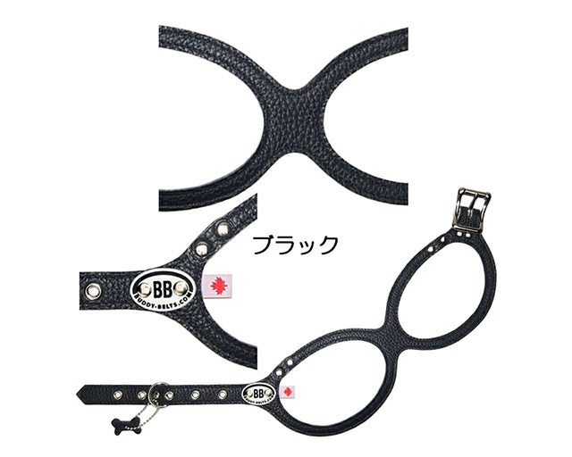 バディーベルト（レッド）
