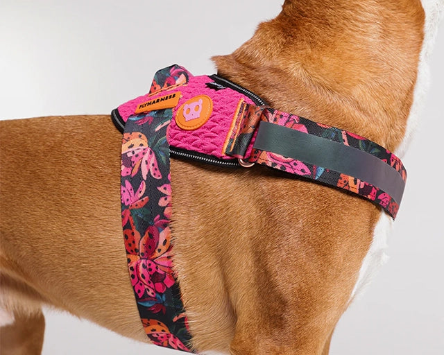 zee.dog（ジードッグ） ファームリオ セルバ フライハーネス