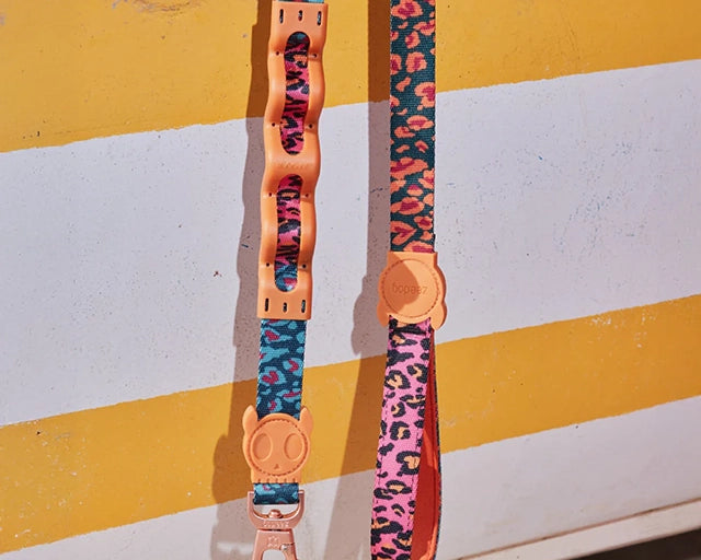 zee.dog（ジードッグ） ファームリオ セルバ　ラフリード