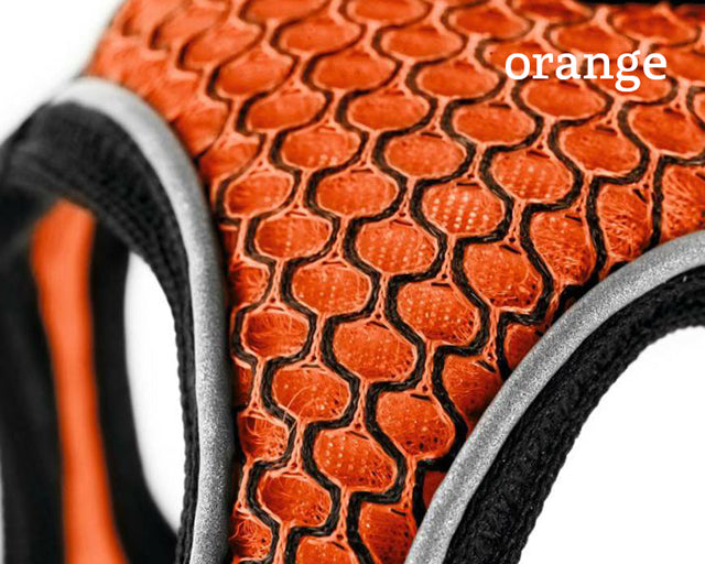 HUNTER（ハンター） ヒロハーネス – Dog Life Support 9689