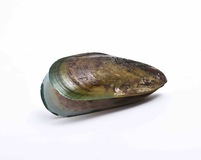 K9 Natural　グリーン・マッスル（緑イ貝）