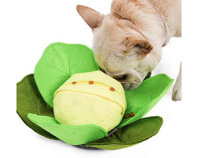 探犬トイ　キャベツ