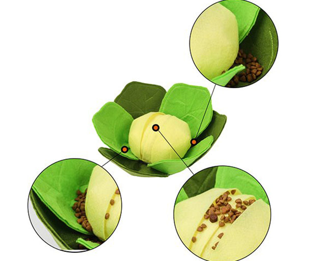 探犬トイ　キャベツ