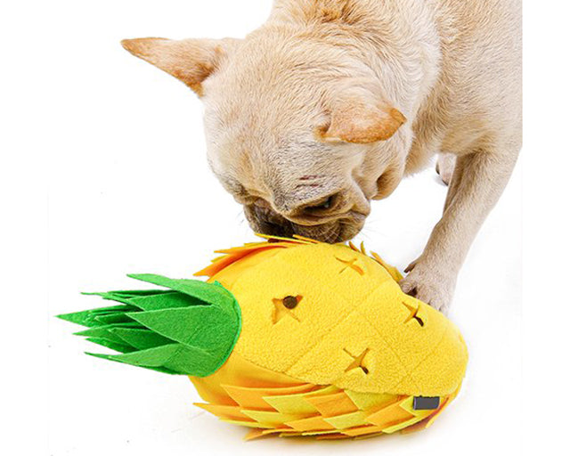 探犬トイ　パイナップル