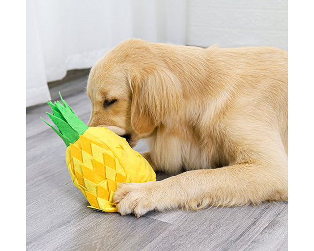 探犬トイ　パイナップル