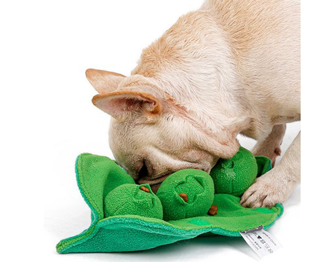 探犬トイ　ビーン