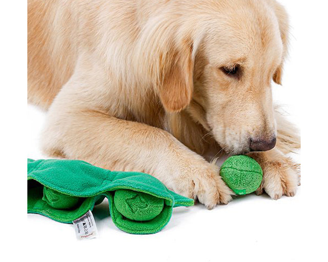 探犬トイ　ビーン