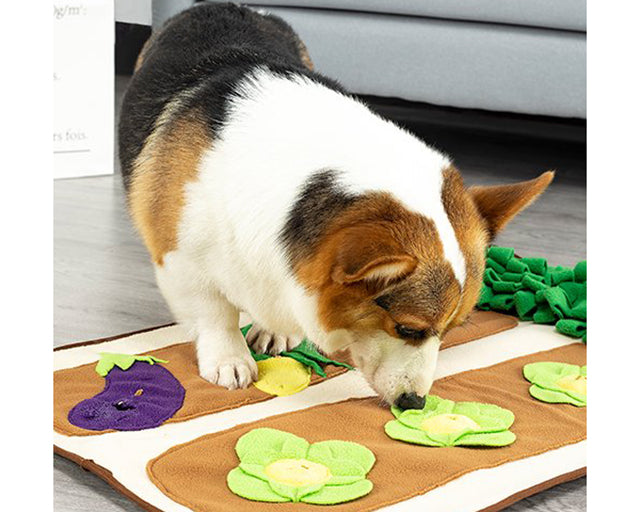 探犬マット　野菜畑