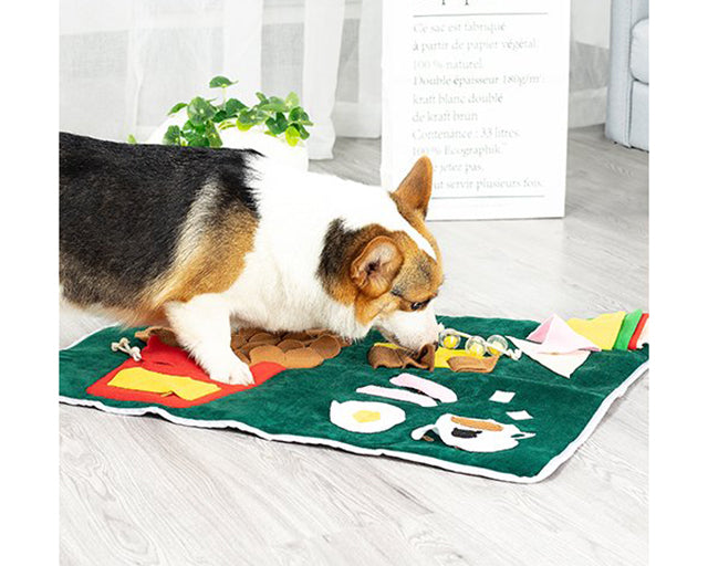 探犬マット　ランチ