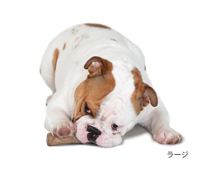 ウッディータフスティック