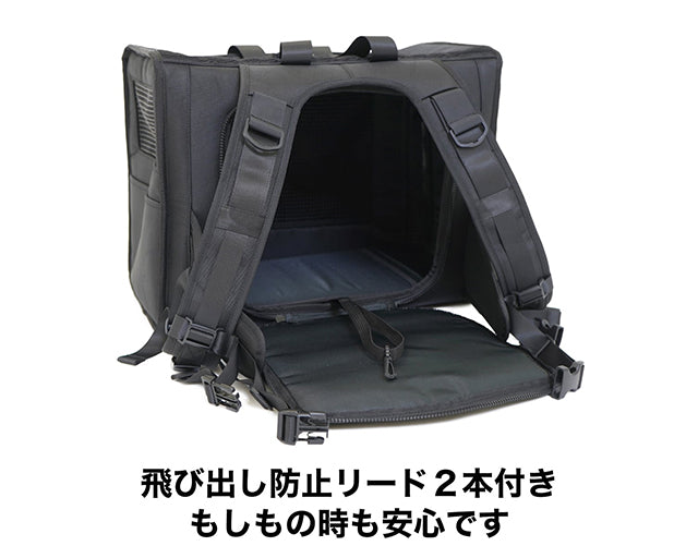 ブリクストン　キャリー　バッグパック　ワイド