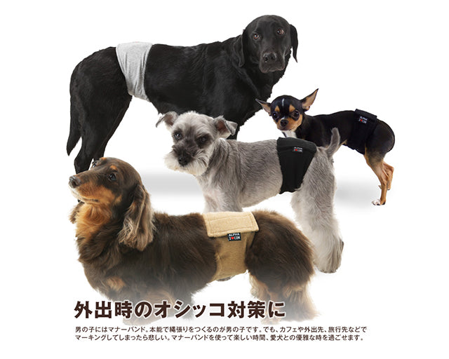 アルファアイコン　マナーバンド