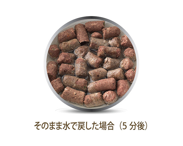 K9 Natural　ラム　フィースト