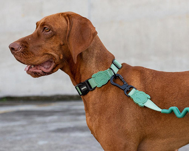 zee.dog（ジードッグ）アーミーグリーンカラー