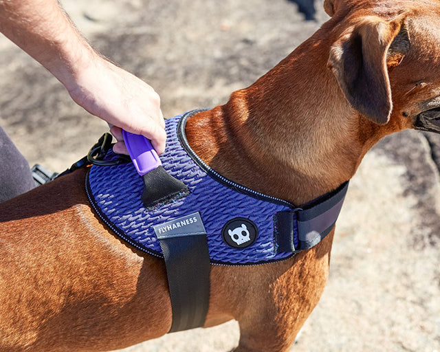 zee.dog（ジードッグ） ウィキッドフライハーネス