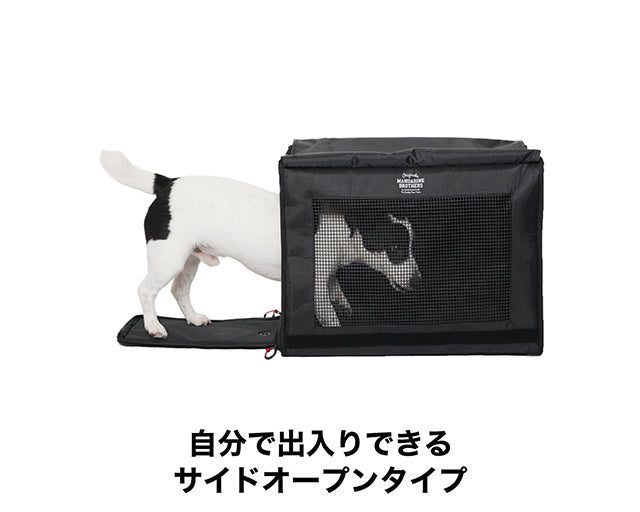 ブリクストン　キャリー　バッグパック　ワイド