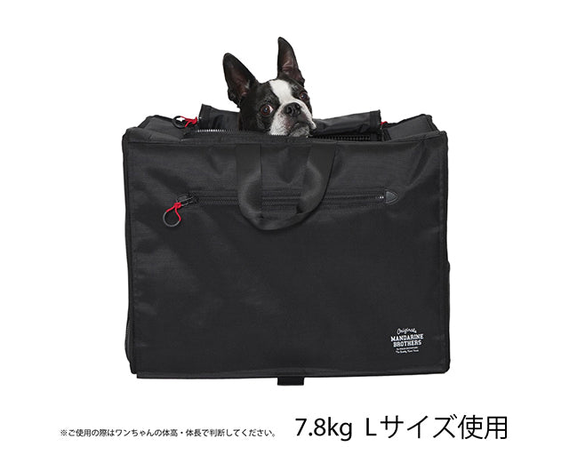 ブリクストン　キャリー　バッグパック　ワイド