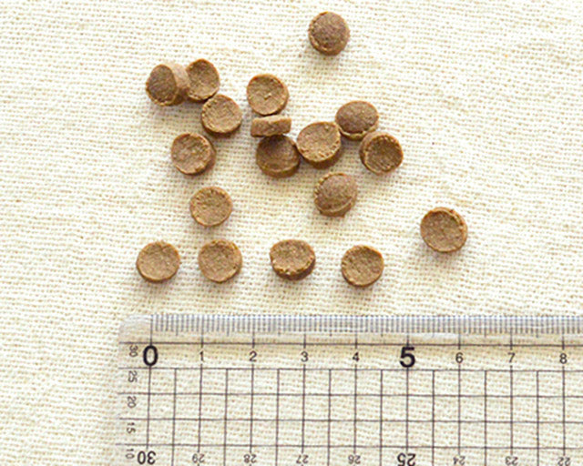 Yum Yum Yum！（ヤムヤムヤム）　チキンドライタイプ