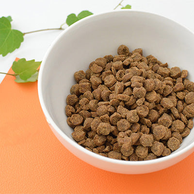 Yum Yum Yum！（ヤムヤムヤム）　馬肉　やわらかドライタイプ