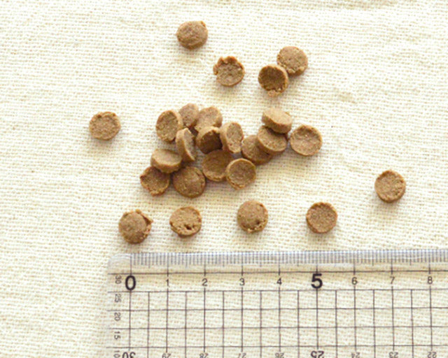 Yum Yum Yum！（ヤムヤムヤム）　馬肉ドライタイプ