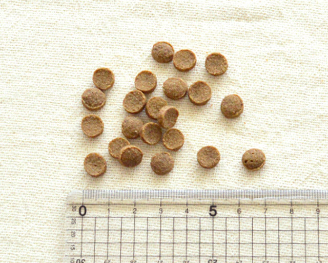 Yum Yum Yum！（ヤムヤムヤム）　マグロドライタイプ