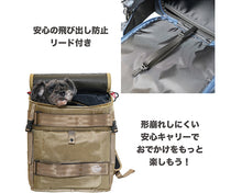 画像をギャラリービューアに読み込む, スカウトキャリーバッグパック
