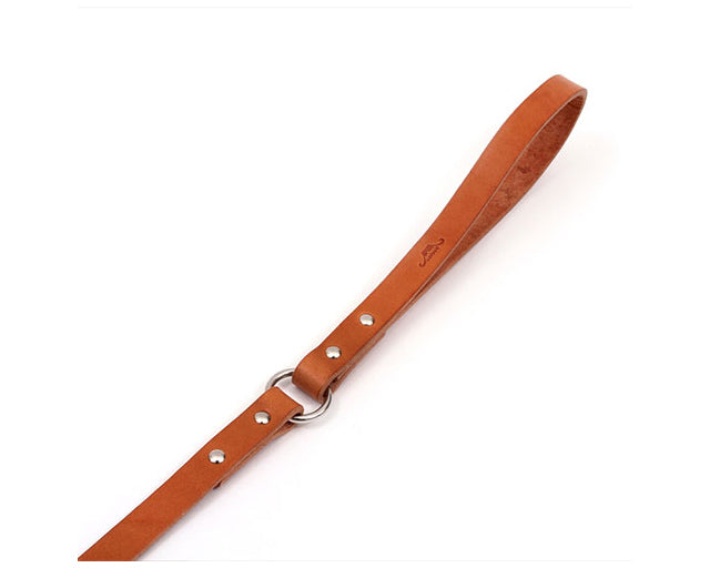 栃木レザーリード